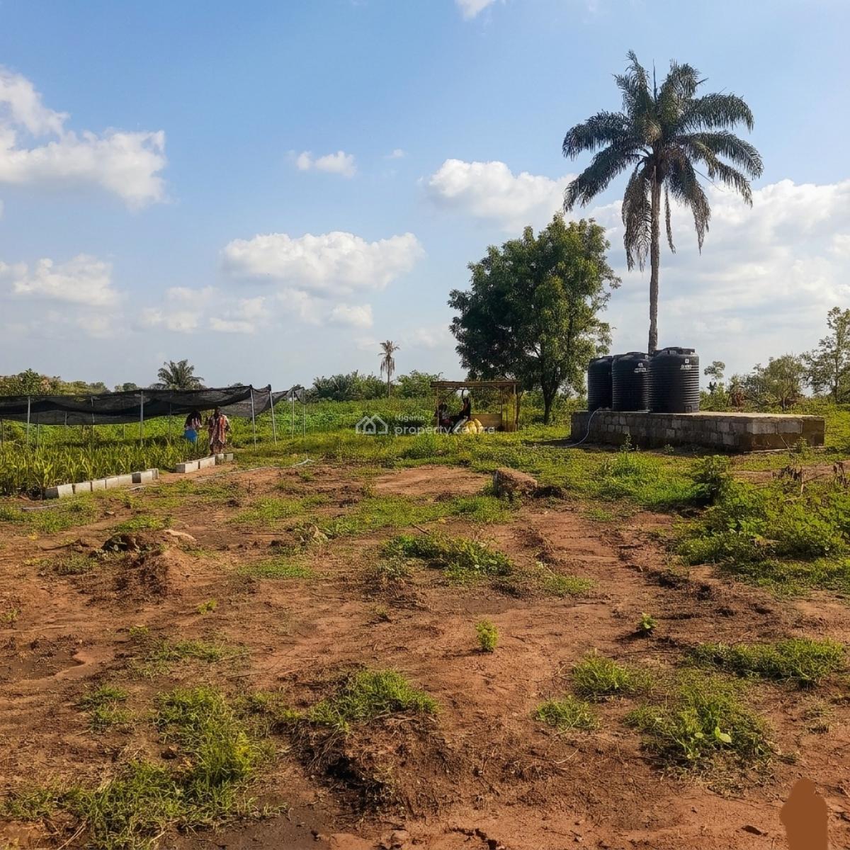 Acres & Hectares of Plantain and Palm Oil Farmlands at Iseyin Ibadan, Iseyin, Ibadan, Oyo, Land for Sale