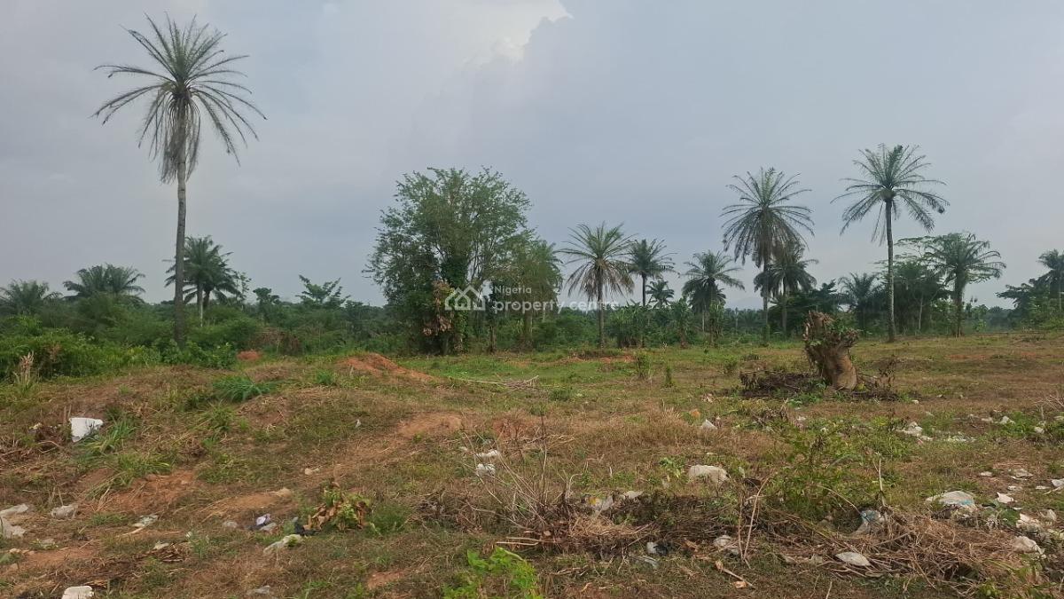 Plots of Land Facing Express Road, Opposite Shasha Market, Ondo Road, Akure, Ondo, Mixed-use Land for Sale
