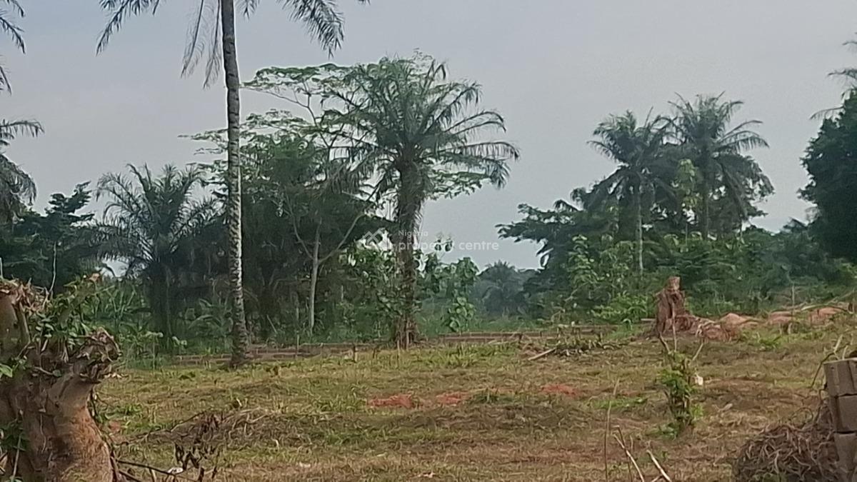 Plots of Land Facing Express Road, Opposite Shasha Market, Ondo Road, Akure, Ondo, Mixed-use Land for Sale