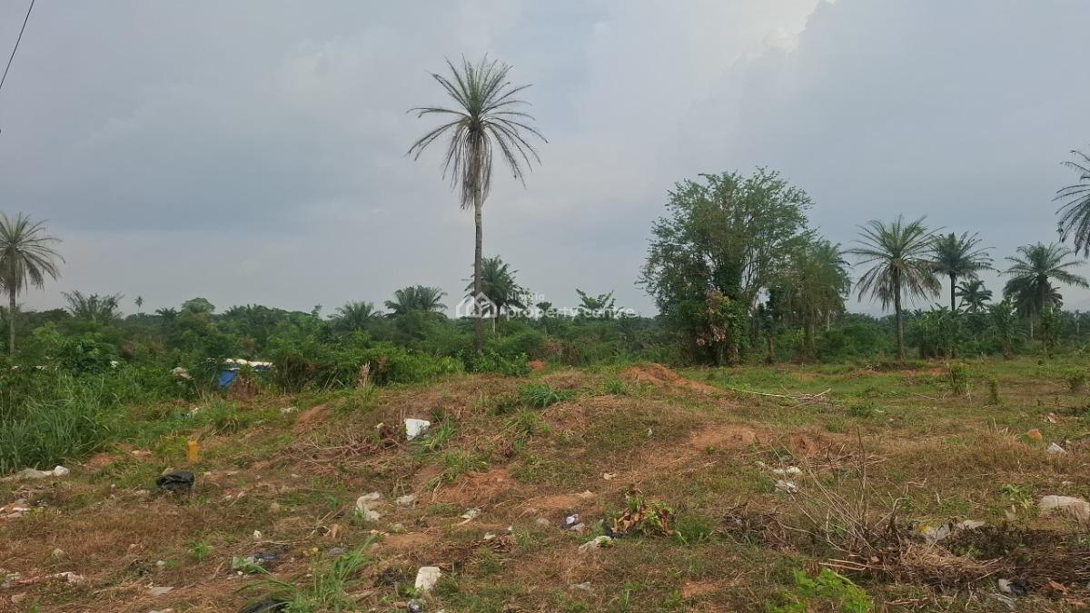 Plots of Land Facing Express Road, Opposite Shasha Market, Ondo Road, Akure, Ondo, Mixed-use Land for Sale
