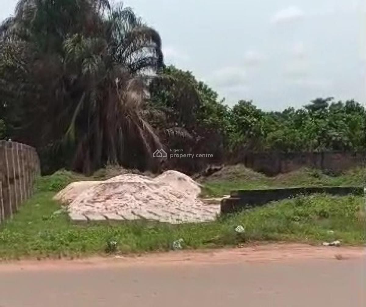 100ft By 100ft Commercial Land Title; Cofo, Along Obazagbon Road, Off Airport Road, Benin, Oredo, Edo, Commercial Land for Sale