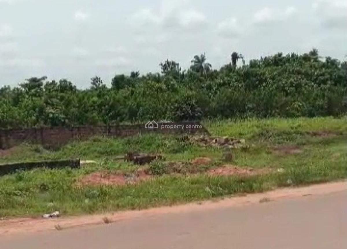 100ft By 100ft Commercial Land Title; Cofo, Along Obazagbon Road, Off Airport Road, Benin, Oredo, Edo, Commercial Land for Sale