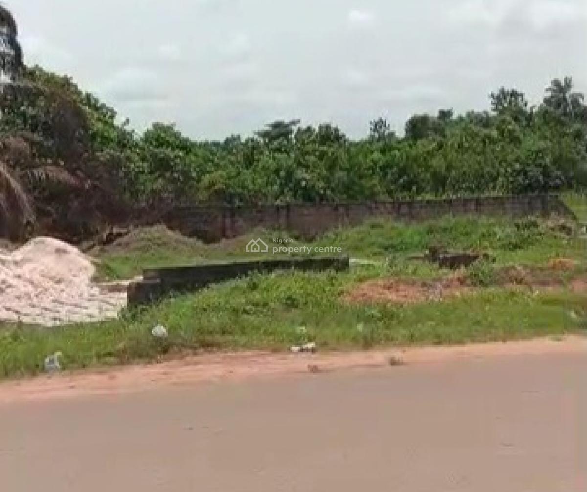 100ft By 100ft Commercial Land Title; Cofo, Along Obazagbon Road, Off Airport Road, Benin, Oredo, Edo, Commercial Land for Sale