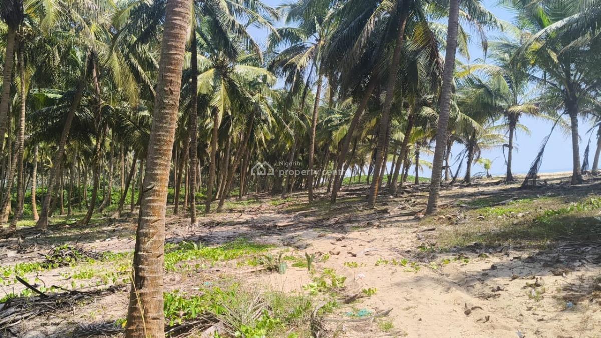 Beach Palace Estate & Resorts -, Near Lagos Calabar Coastal Road, Ode Omi Ogun Waterside, Ode Omi, Ibeju Lekki, Lagos, Residential Land for Sale