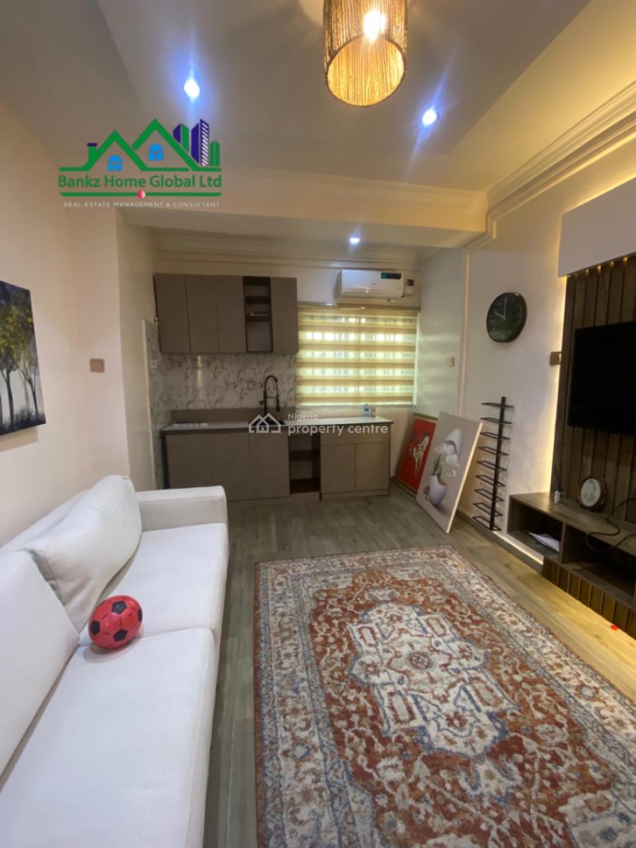 Fully Furnished One Bedroom Apartment, Lekki Phase 1, Lekki, Lagos, Mini Flat (room and Parlour) for Rent