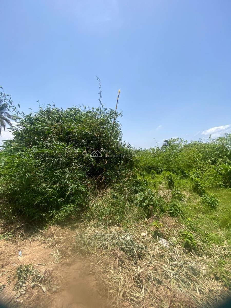 Build Your Dream Home Well-located Land Available, Igbogbo, Ikorodu, Lagos, Land for Sale