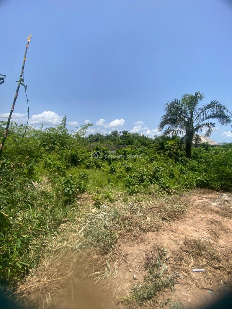 Build Your Dream Home Well-located Land Available, Igbogbo, Ikorodu, Lagos, Land for Sale