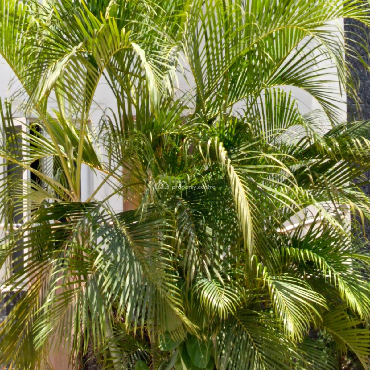 2 Units of 5 Bedroom Semi‑detached Houses  and   2 Units of 2 Bedroom Penthouse Flats, Off Adekoya Street, Oniru, Victoria Island (vi), Lagos, Hotel / Guest House for Rent