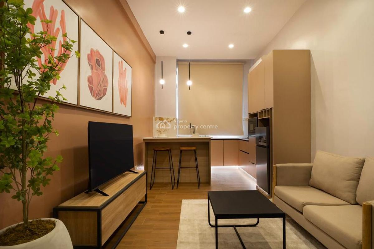 Fully Furnished One Bedroom Open Plan Layout, Oniru, Victoria Island (vi), Lagos, Flat / Apartment for Rent