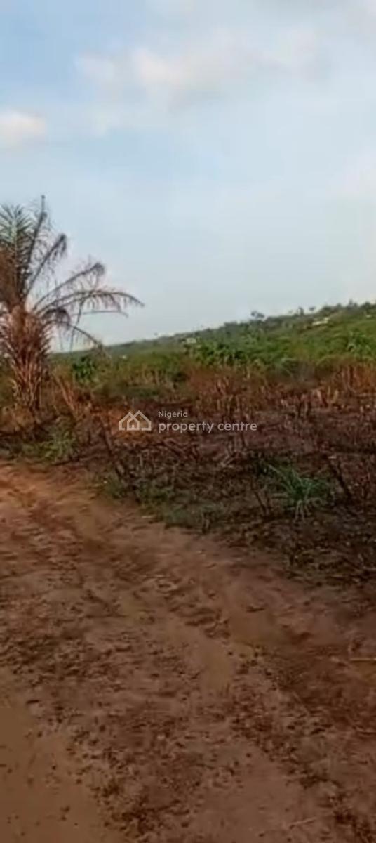 152acres at Odoasonyin Closer to Main Road  Ijebu Isiwo, Ijebu Isiwo Ijebu Ode Ogun State, Ijebu Ode, Ogun, Residential Land for Sale