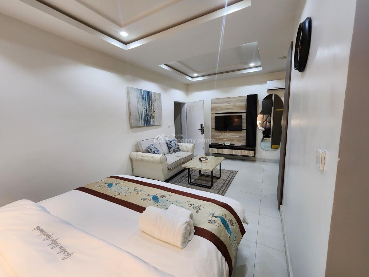 Brand New, Fully Furnished and Serviced Luxury Studio Apartment, Ebitu Ukiwe Street, Jabi, Abuja, Self Contain (single Rooms) Short Let