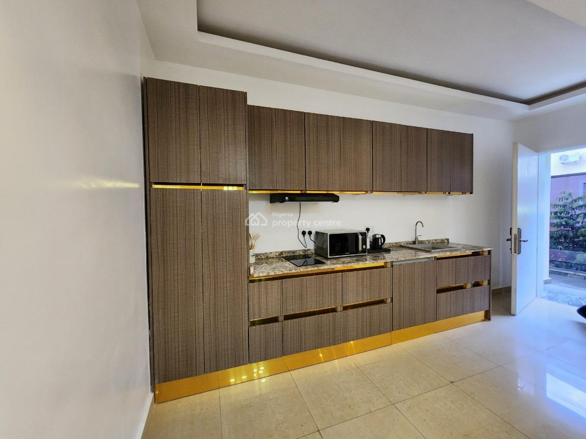 Brand New, Fully Furnished and Serviced Luxury One Bedroom Apartment, Ebitu Ukiwe Street, Jabi, Abuja, Mini Flat (room and Parlour) Short Let