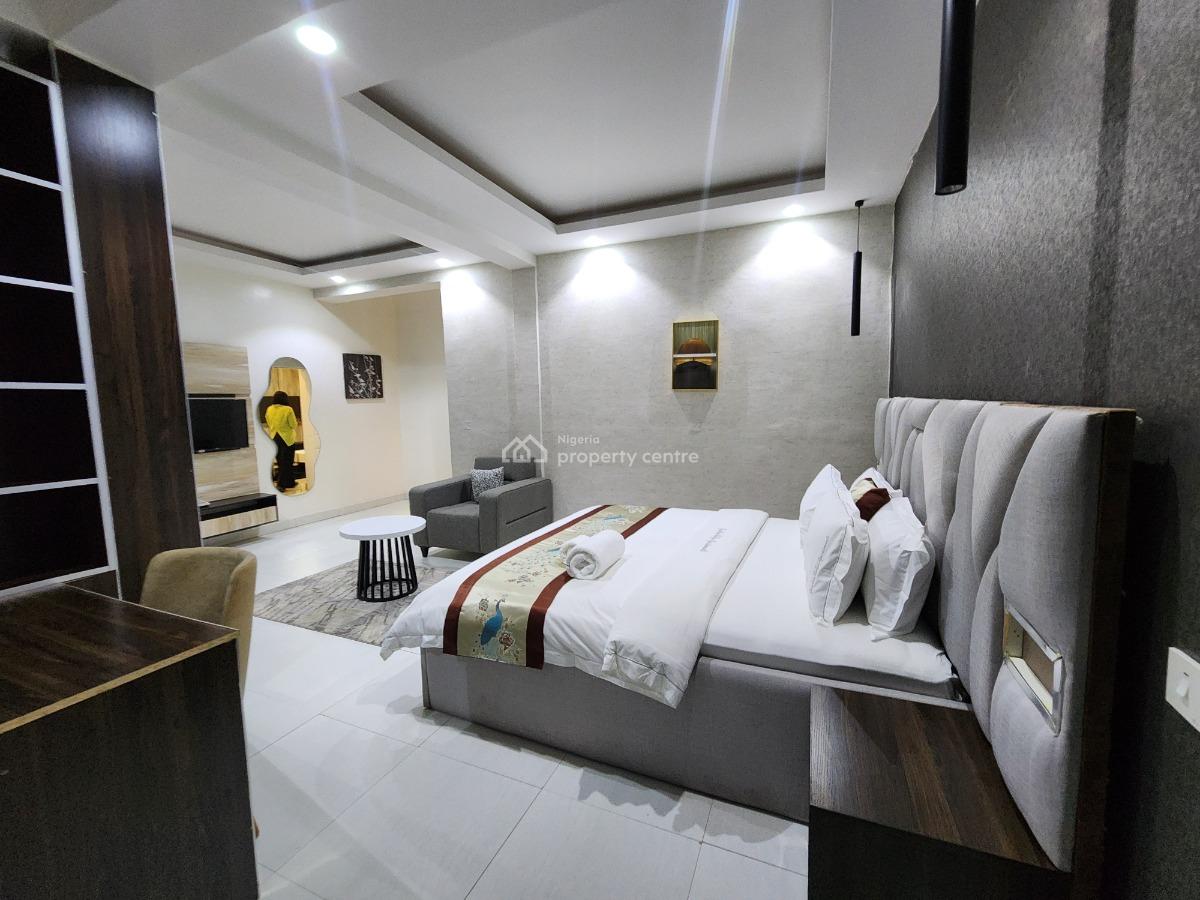 Brand New, Fully Furnished and Serviced Luxury One Bedroom Apartment, Ebitu Ukiwe Street, Jabi, Abuja, Mini Flat (room and Parlour) Short Let