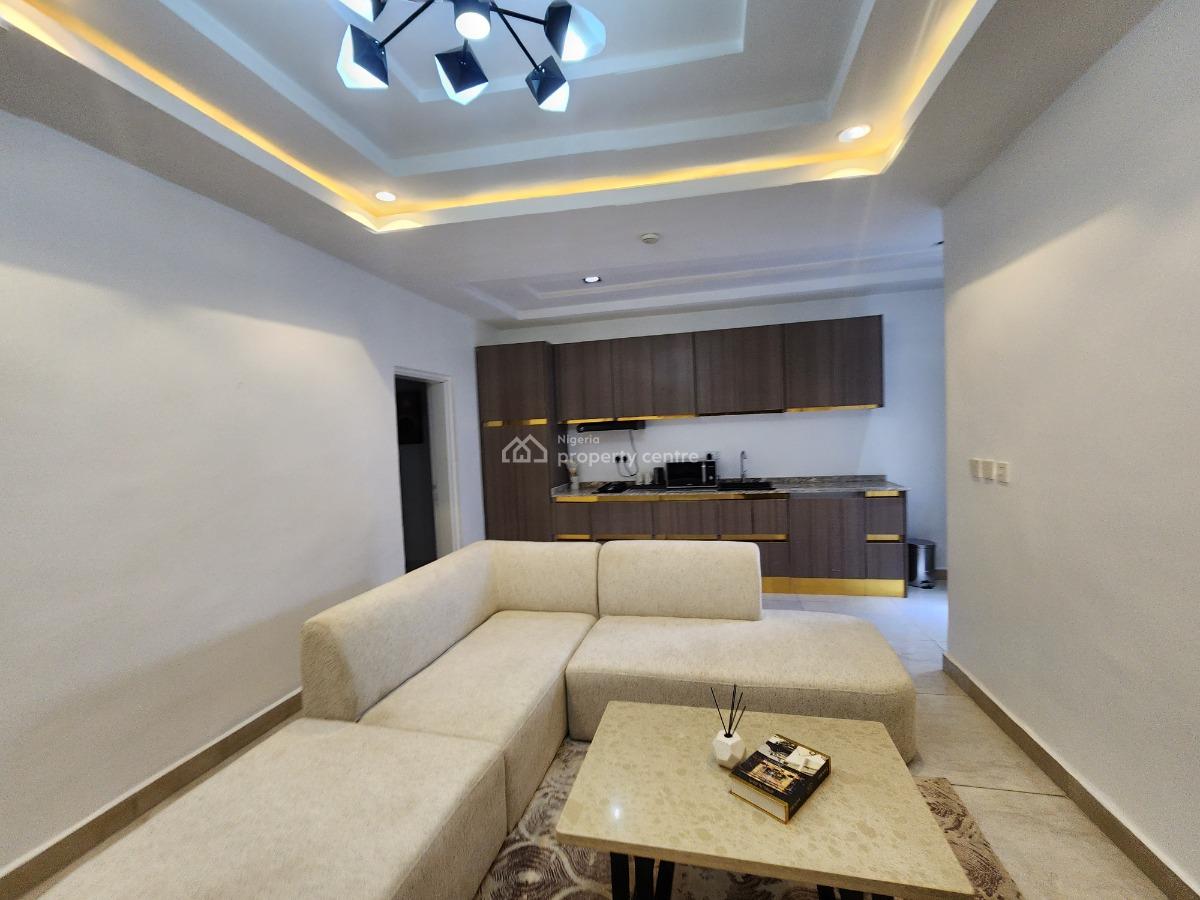 Brand New, Fully Furnished and Serviced Luxury Two Bedroom Apartment, Ebitu Ukiwe Street, Jabi, Abuja, Flat / Apartment Short Let