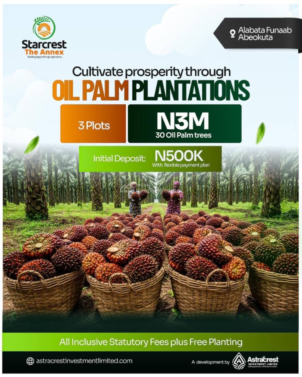 Turn Land Into Wealth! Premium Agricultural Plots Available, Odeda, Ogun, Land for Sale