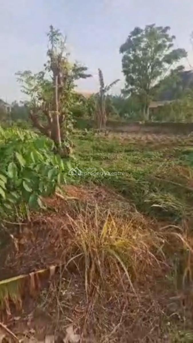 2 Separate Plots of Land Besides Each Other, Palm View Estate, Alagbaka, Akure, Ondo, Land for Sale