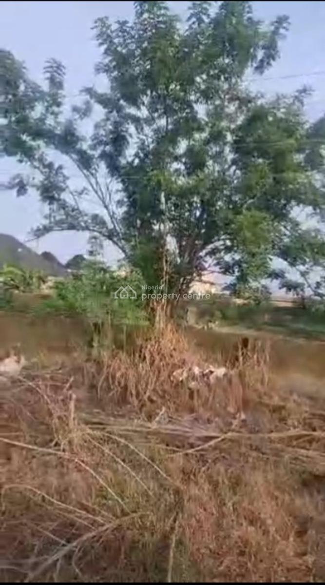 2 Separate Plots of Land Besides Each Other, Palm View Estate, Alagbaka, Akure, Ondo, Land for Sale