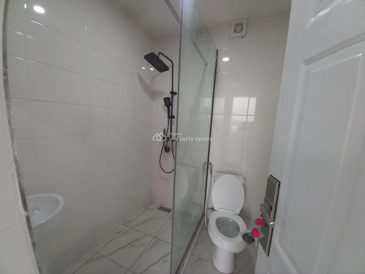 New Serviced & Partially Furnished 2-bedroom Penthouse + Pool, Wuse 2, Abuja, Flat / Apartment for Rent