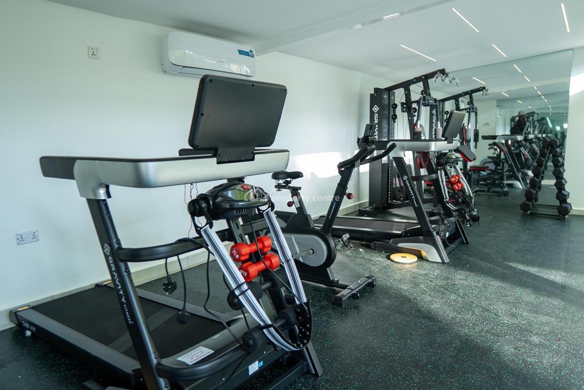 Luxurious One Bedroom Furnished Apartment with Pool and Gym, Maitama District, Abuja, Mini Flat (room and Parlour) Short Let