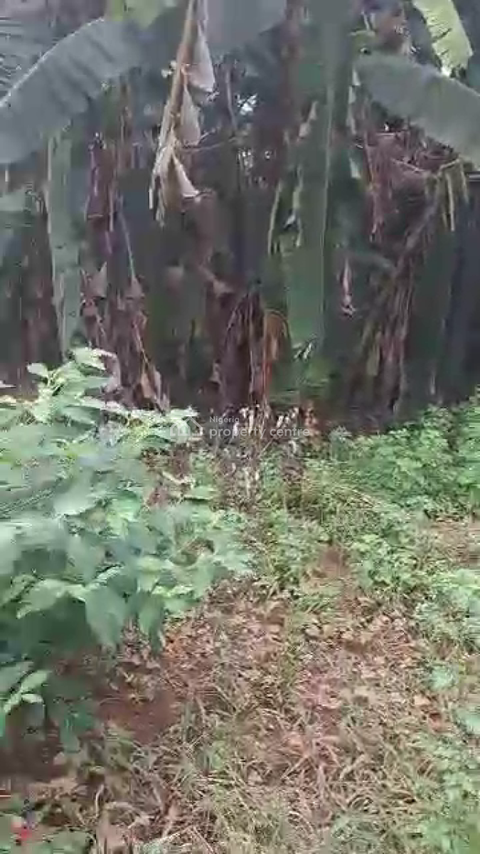 a Piece of Land, Baruwa, Ipaja, Lagos, Land for Sale