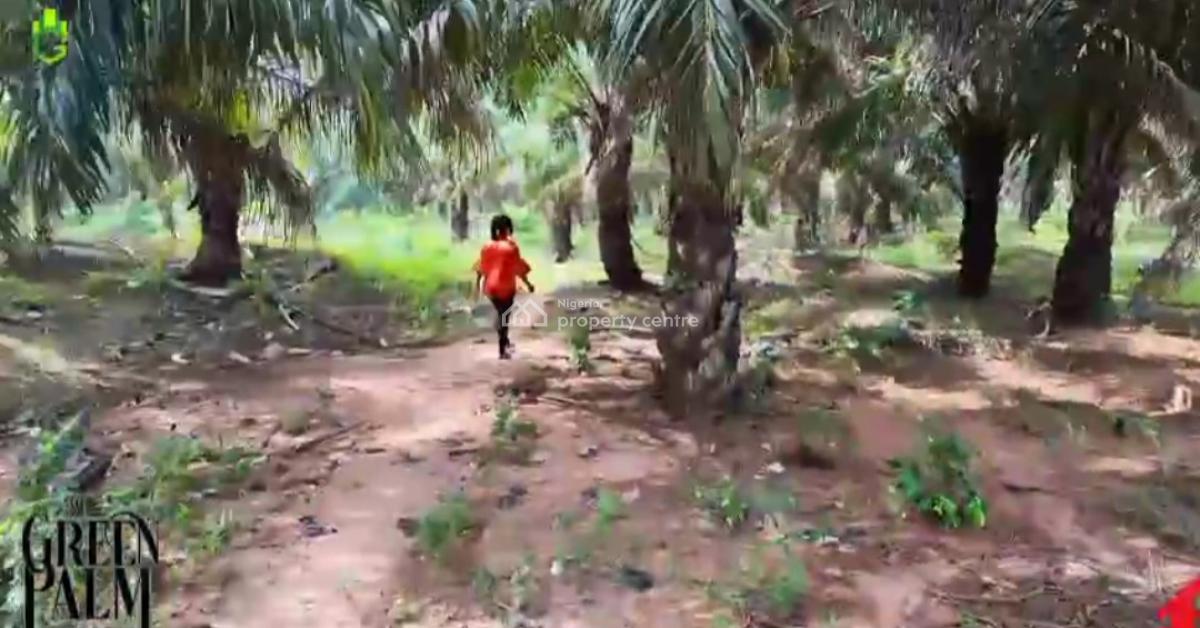 Land, Green Palm Estate Along Asaba Warri Expressway, Asaba, Delta, Mixed-use Land for Sale