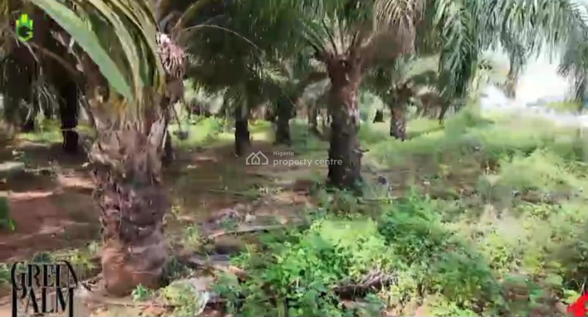 Land, Green Palm Estate Along Asaba Warri Expressway, Asaba, Delta, Mixed-use Land for Sale