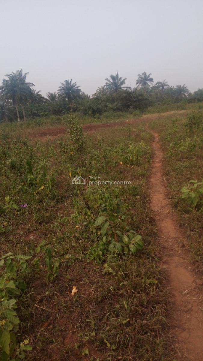 Dry Plot of Land, Oka-afo, Ilogbo King Palace Road, Ado-odo/ota, Ogun, Mixed-use Land for Sale