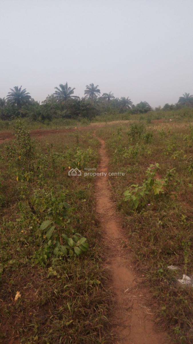 Dry Plot of Land, Oka-afo, Ilogbo King Palace Road, Ado-odo/ota, Ogun, Mixed-use Land for Sale