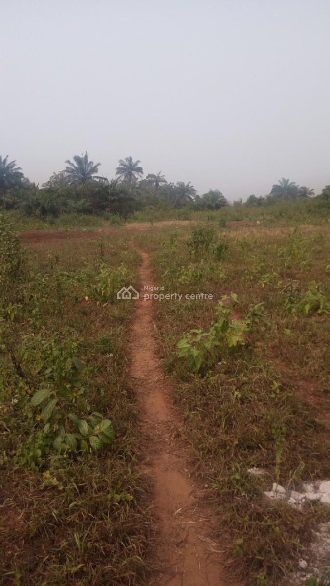 Dry Plot of Land, Oka-afo, Ilogbo King Palace Road, Ado-odo/ota, Ogun, Mixed-use Land for Sale