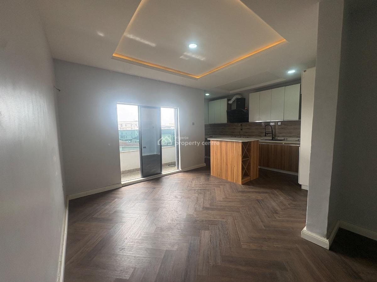 Luxury 2 Bedroom Apartment in a Flood Free Area, Ikate, Lekki Phase 1, Lekki, Lagos, Flat / Apartment for Rent