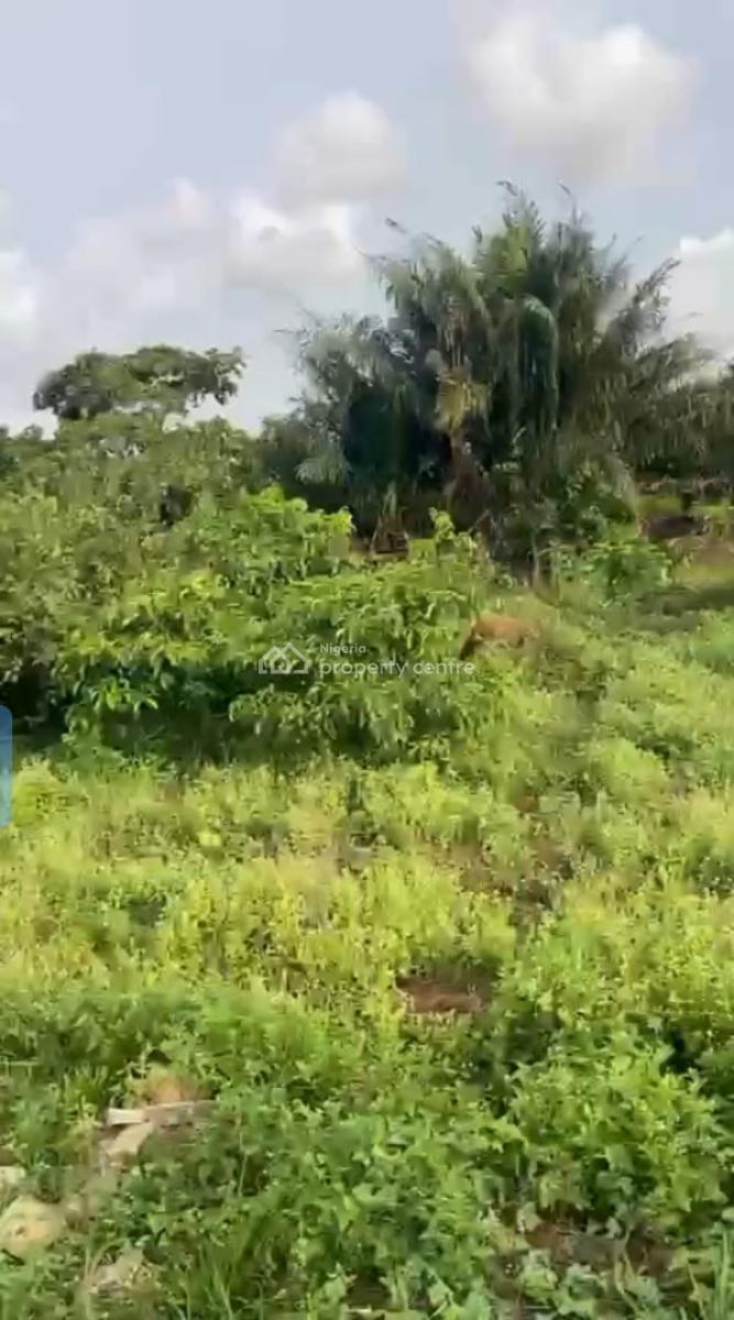 Urgent Brief, Off Sapele Road, Before Pz Rd. Back of Yaglux Motor Stand. Benin, Ikpoba Okha, Edo, Land for Sale