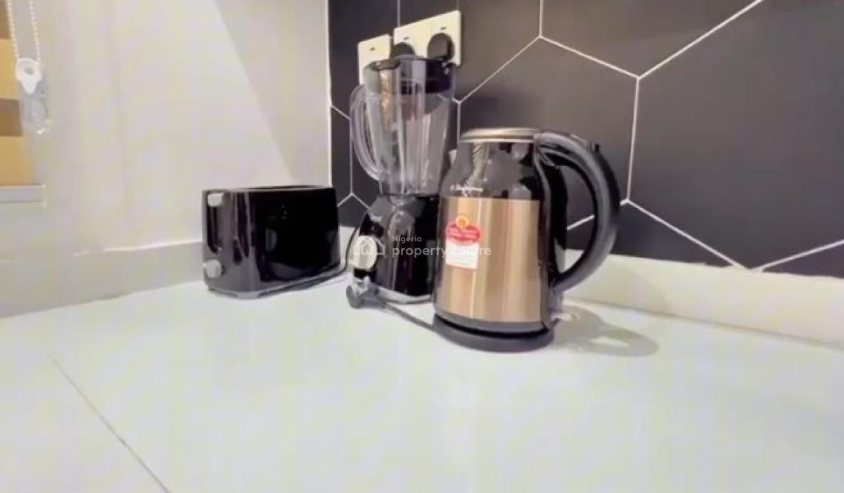 Fully Serviced and Furnished 2 Bedroom Apartment, Victoria Island (vi), Lagos, Flat / Apartment for Rent