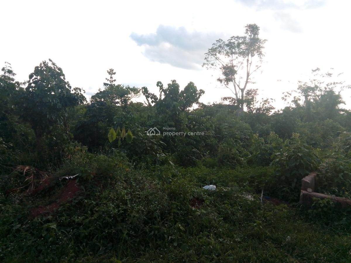 Plot of Land Going for a Giveaway Price, Ogheghe Community, Benin, Oredo, Edo, Land for Sale