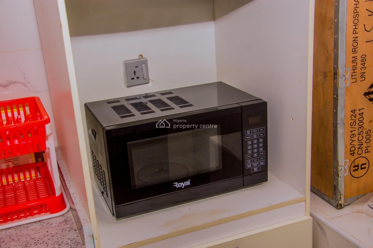 Luxury Fully Furnished 2 Bedrooms Apartment with Excellent Facility, Ologolo, Lekki, Lagos, Flat / Apartment for Rent