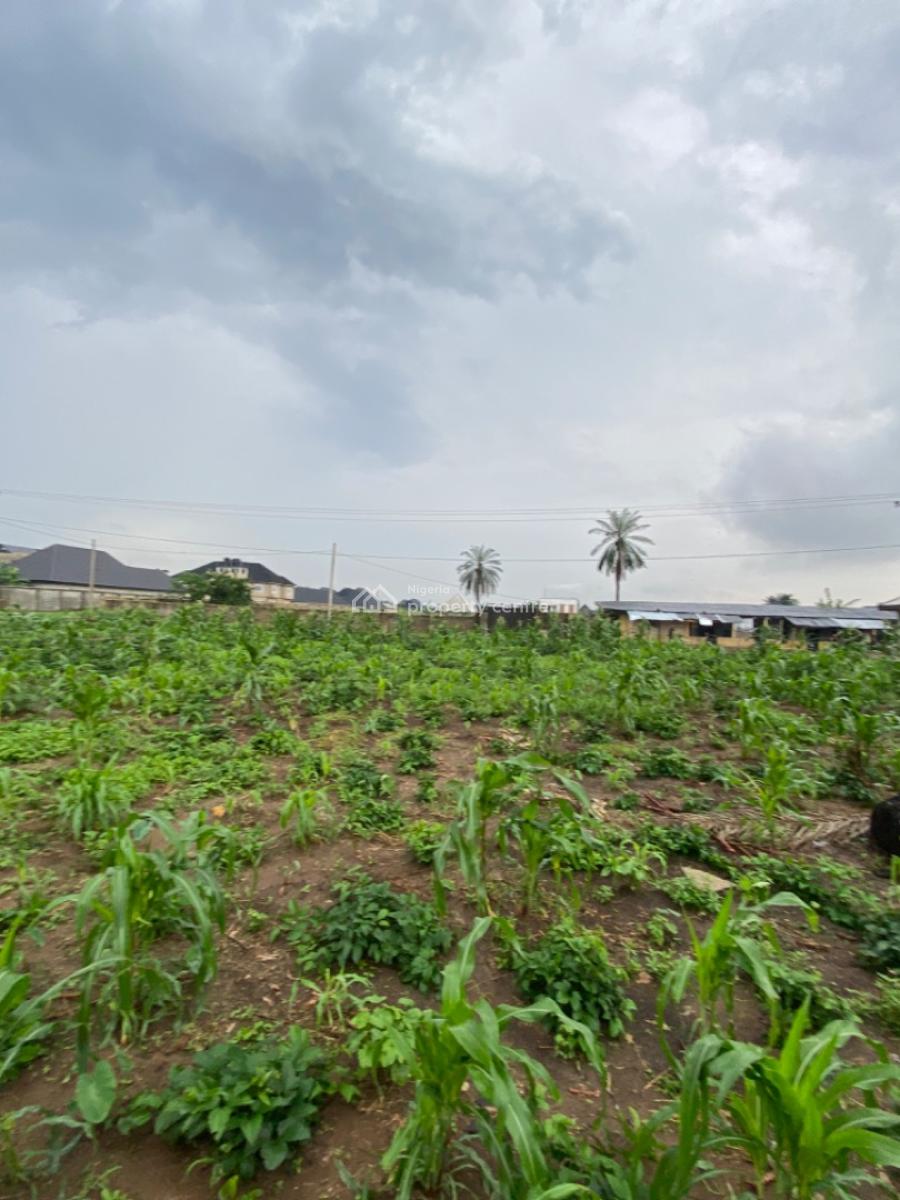 Secured 2 Plots of Land Fully Dwarf Fenced with Constant Electricity, Royal Estate Off Rumuokwurusi Tank Flyover, Elimgbu, Elimbu, Port Harcourt, Rivers, Mixed-use Land for Sale