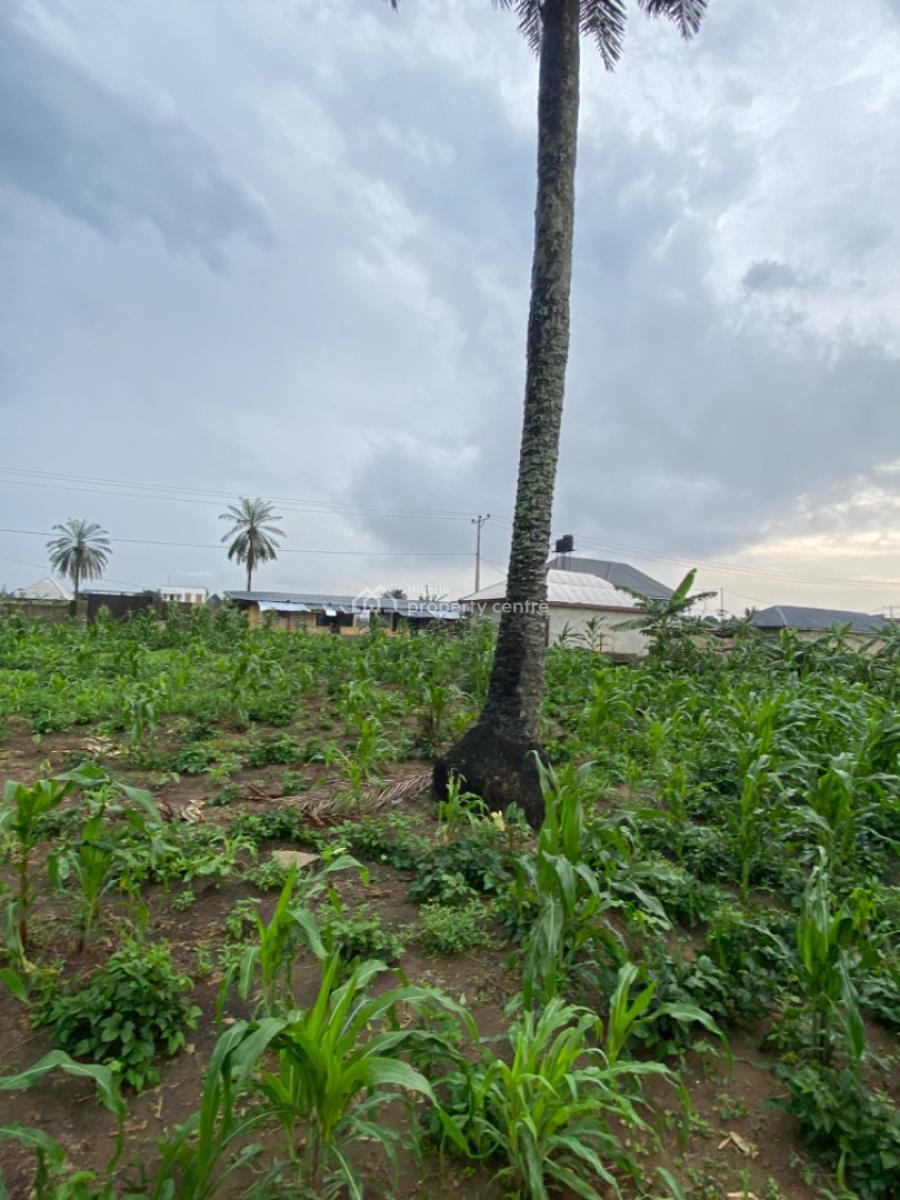 Secured 2 Plots of Land Fully Dwarf Fenced with Constant Electricity, Royal Estate Off Rumuokwurusi Tank Flyover, Elimgbu, Elimbu, Port Harcourt, Rivers, Mixed-use Land for Sale