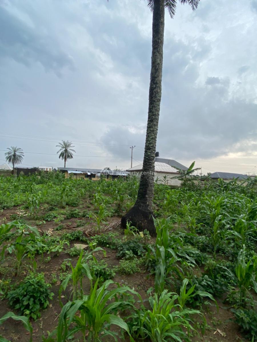 Secured 2 Plots of Land Fully Dwarf Fenced with Constant Electricity, Royal Estate Off Rumuokwurusi Tank Flyover, Elimgbu, Elimbu, Port Harcourt, Rivers, Mixed-use Land for Sale