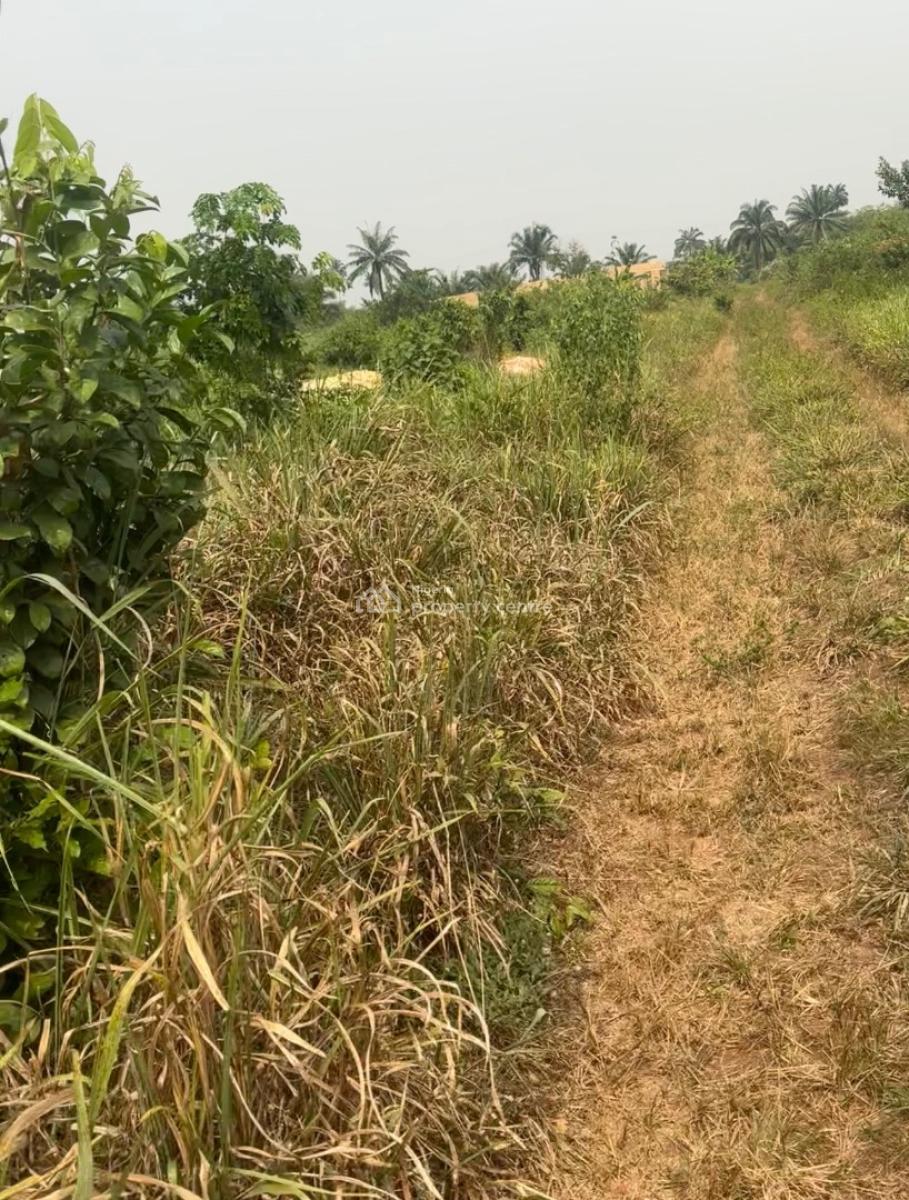 200 By 100 Landed Property with C of O, Ogua Community, After Ekiadolo College of Education, Ovia North-east, Edo, Mixed-use Land for Sale