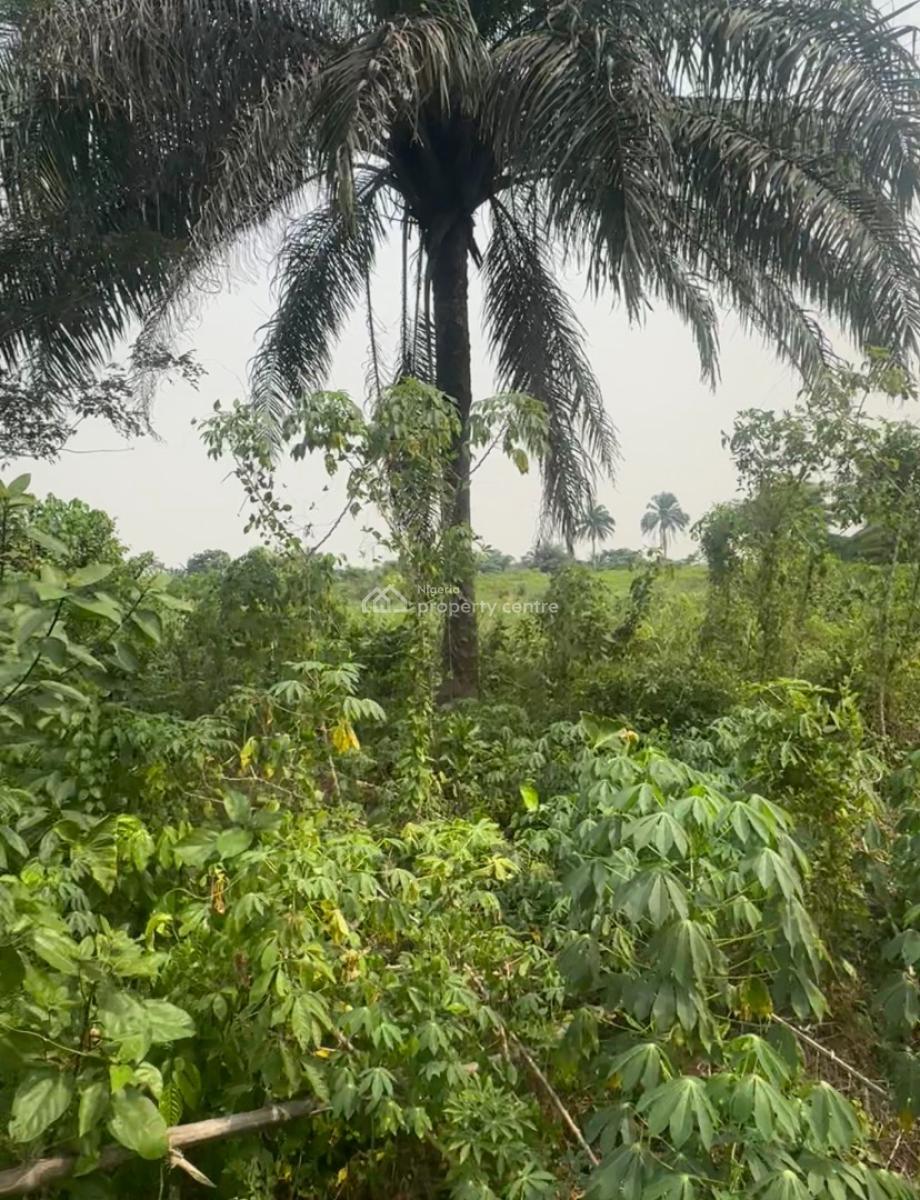 200 By 100 Landed Property with C of O, Ogua Community, After Ekiadolo College of Education, Ovia North-east, Edo, Mixed-use Land for Sale