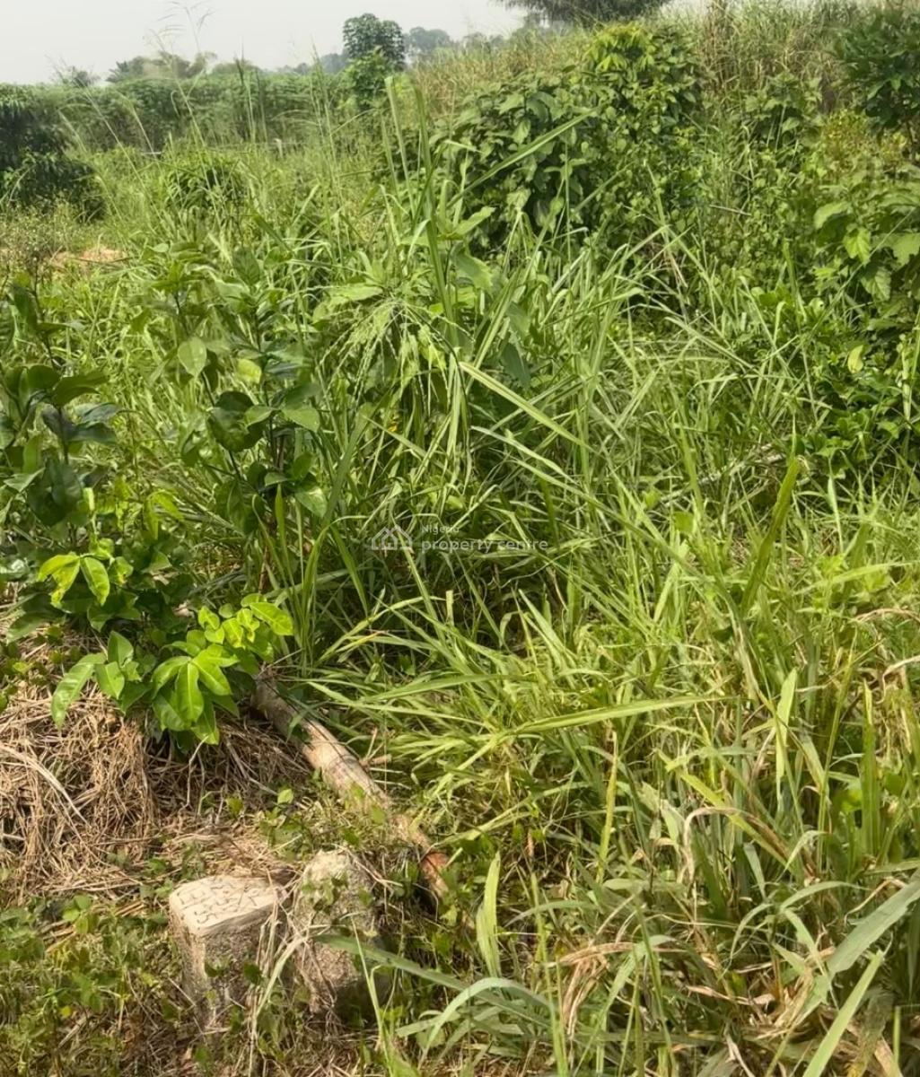 200 By 100 Landed Property with C of O, Ogua Community, After Ekiadolo College of Education, Ovia North-east, Edo, Mixed-use Land for Sale