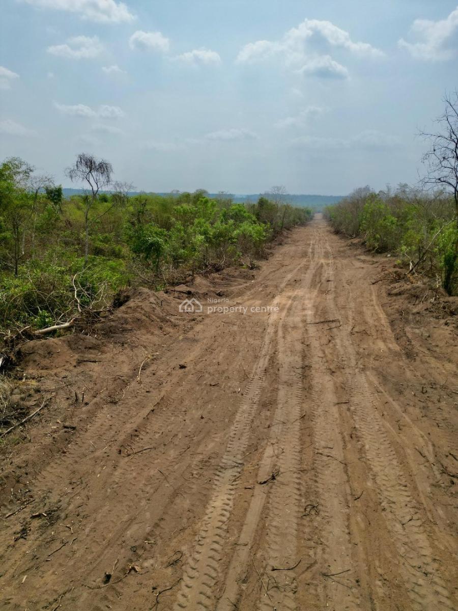 Farm Land of The Day, Off Funaab, Alabata, Abeokuta North, Ogun, Industrial Land for Sale