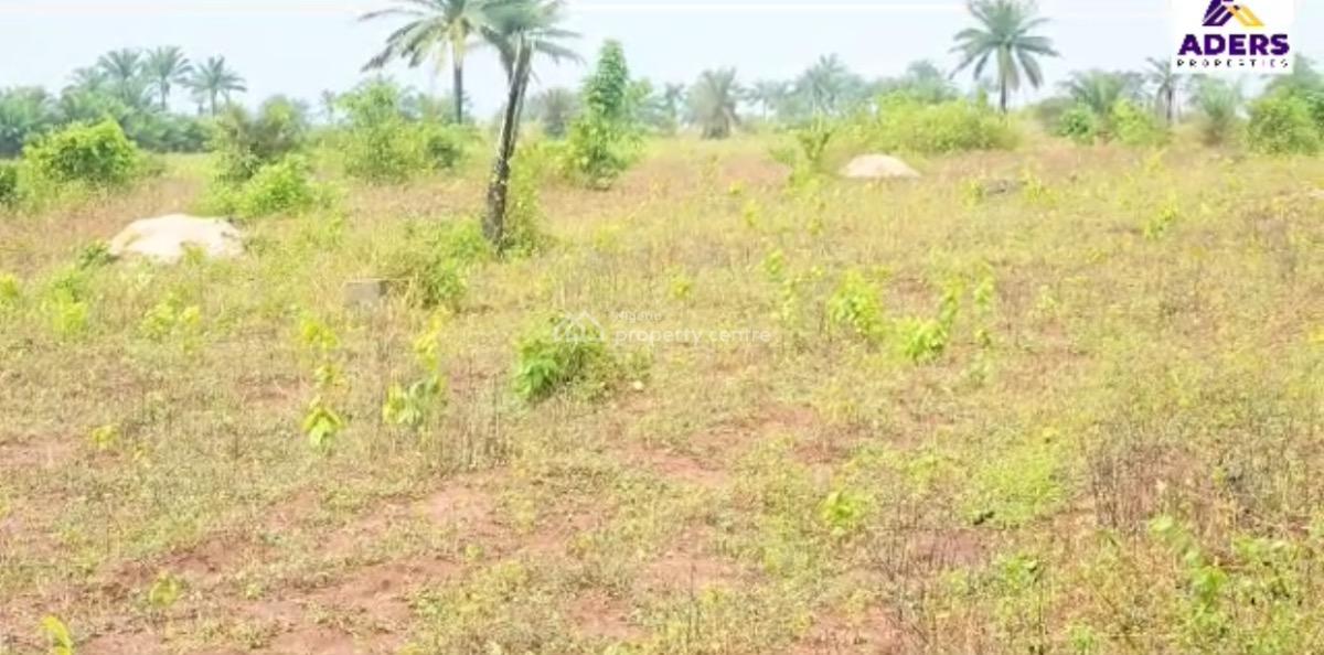 Premium Secured & Developed Estate, Owode Yewa, Owode, Obafemi Owode, Ogun, Residential Land for Sale