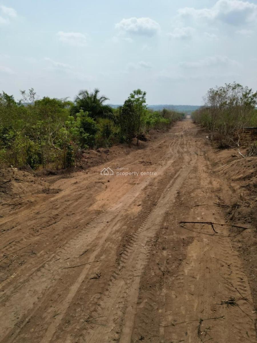 Own an Affordable Farmland, Alabata, 25 Minutes From Funnab, Abeokuta North, Ogun, Land for Sale