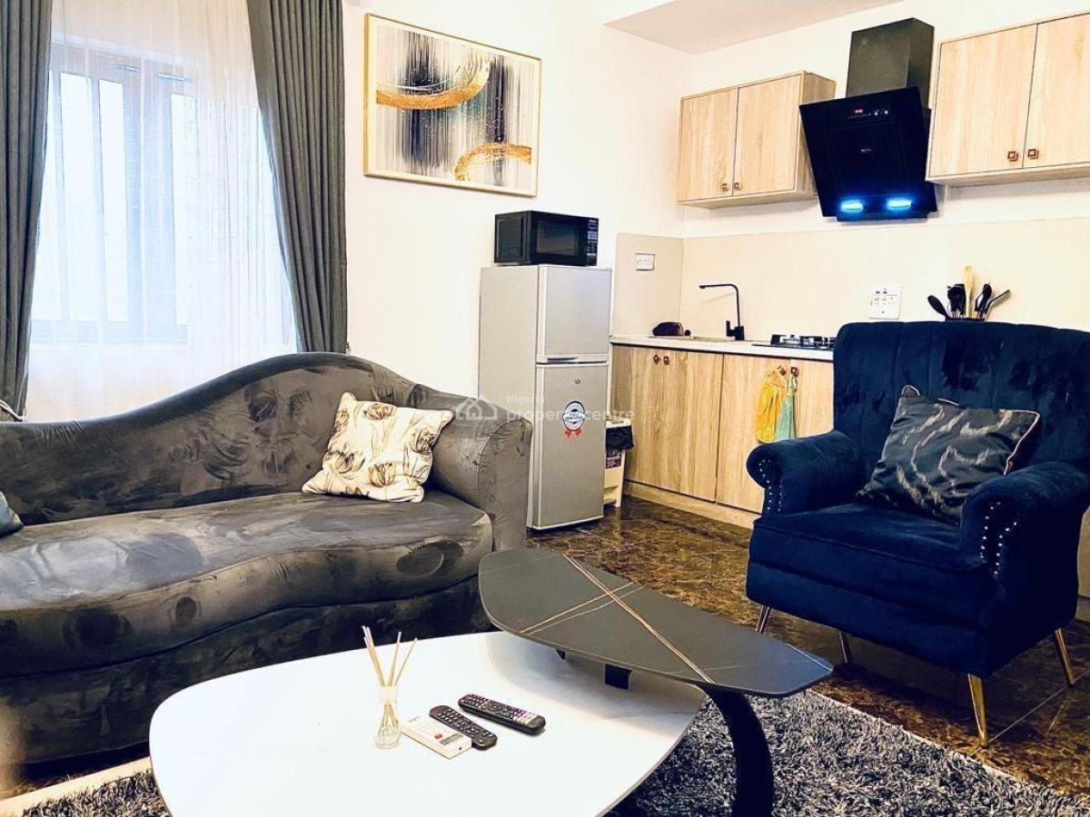 Super Furnished 1 Bedroom Apartment with Swimming Pool, Freedom Way, Lekki Phase 1, Lekki, Lagos, Mini Flat (room and Parlour) for Rent