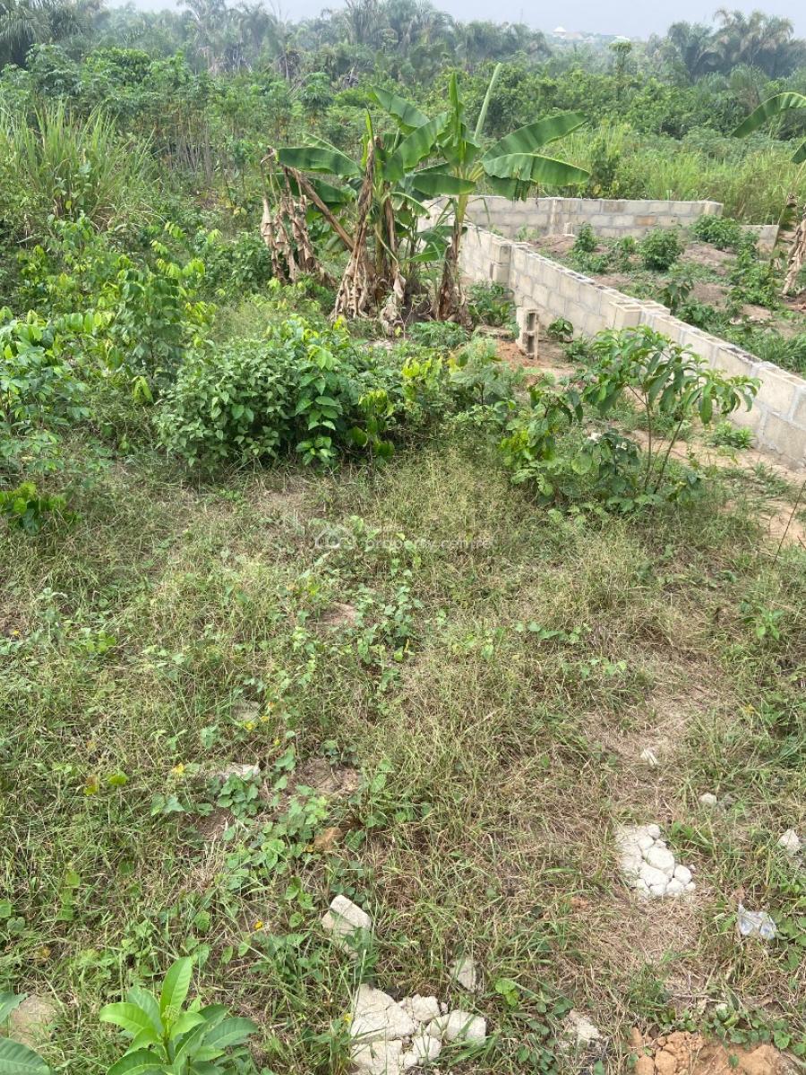 Genuine Full Plot of Land, Agufoye, Adamo, Ikorodu, Lagos, Land for Sale
