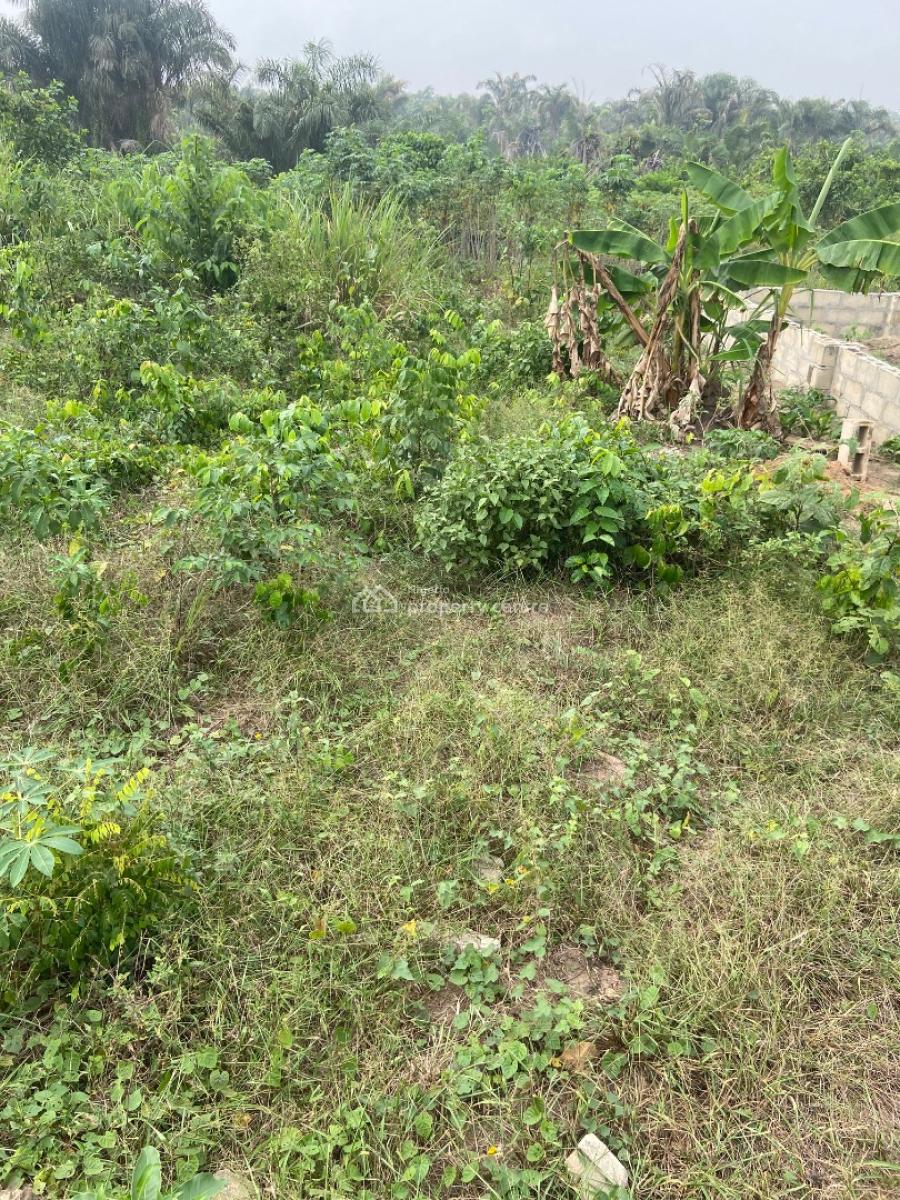 Genuine Full Plot of Land, Agufoye, Adamo, Ikorodu, Lagos, Land for Sale