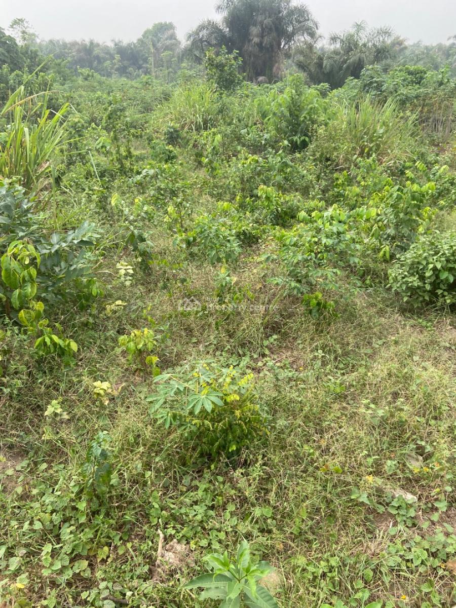 Genuine Full Plot of Land, Agufoye, Adamo, Ikorodu, Lagos, Land for Sale