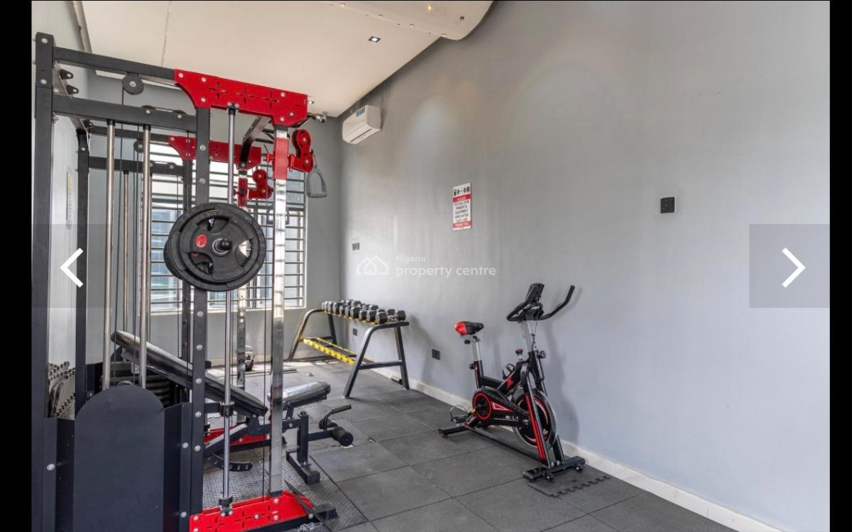 Fully Furnished 2 Bedrooms Flat with a Pool, Gym, Play Garden, Ikate, Lekki, Lagos, Flat / Apartment for Sale