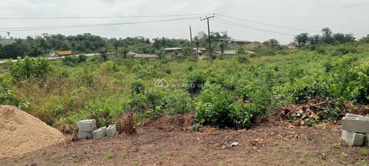 a Buy and Build Land, Ala, Omu-ketu, Along The Epe Expressway, Km 46, Ogun, Residential Land for Sale