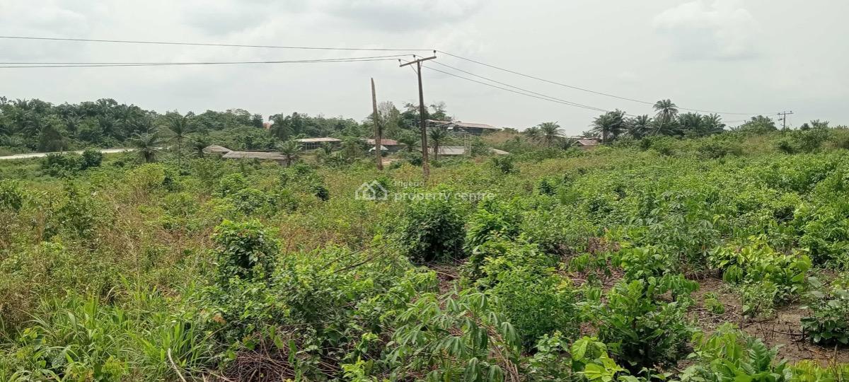 a Buy and Build Land, Ala, Omu-ketu, Along The Epe Expressway, Km 46, Ogun, Residential Land for Sale